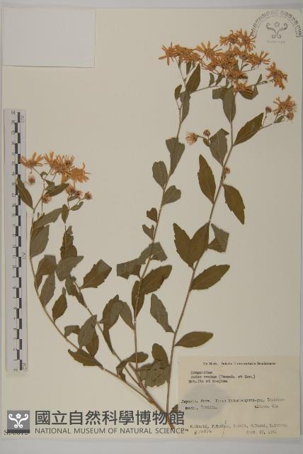 登錄號:S058612藏品圖，第1張