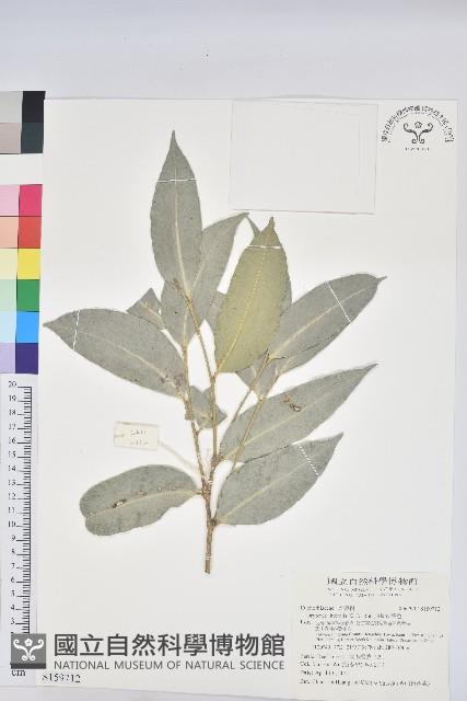 鐵色藏品圖，第1張