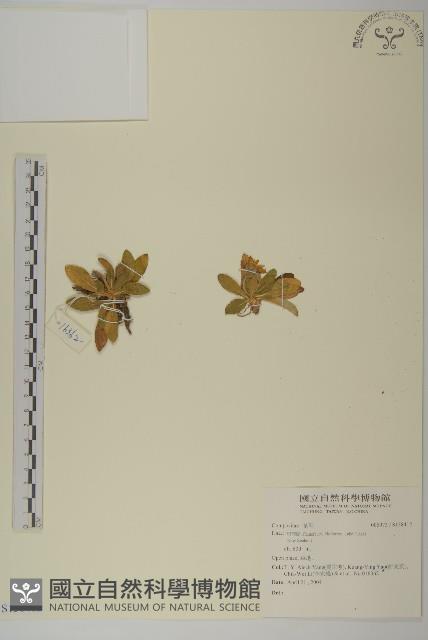 登錄號:S138412藏品圖，第1張