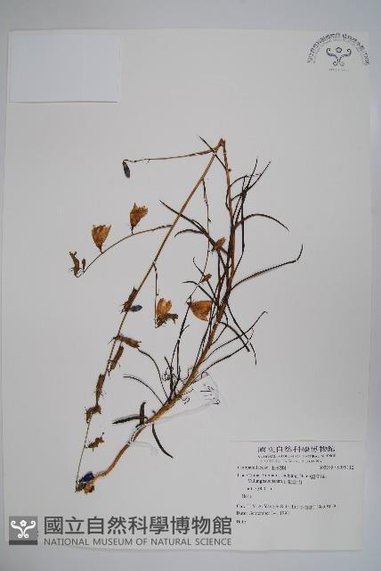 登錄號:S059112藏品圖，第1張