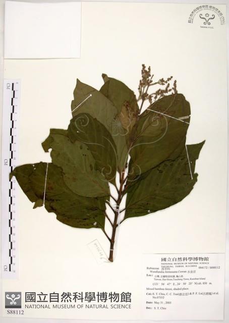 水金京藏品圖，第1張