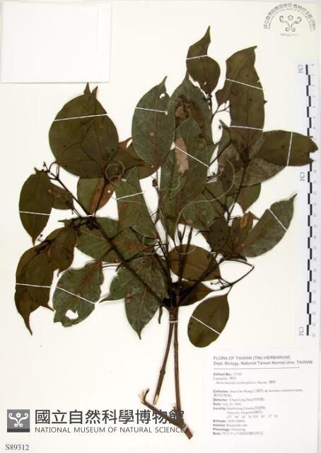 瓊楠藏品圖，第1張