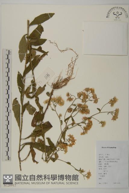 登錄號:S128912藏品圖，第1張