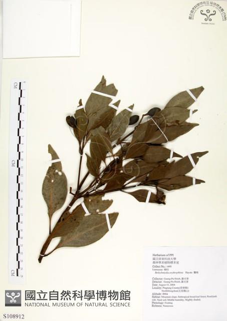 瓊楠藏品圖，第1張