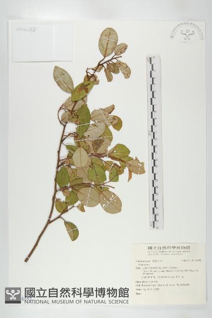 登錄號:S148452藏品圖，第1張