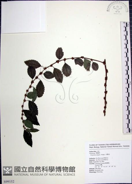 水雞油藏品圖，第1張