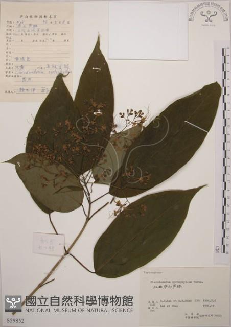 大青藏品圖，第1張