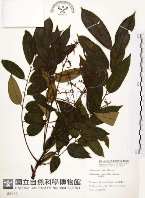 山豬肉藏品圖，第1張