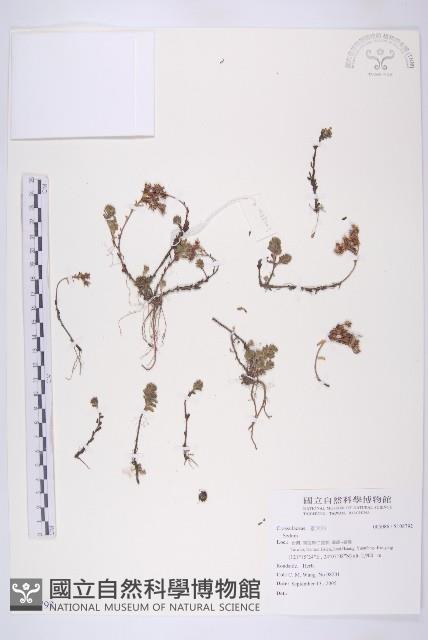 登錄號:S108792藏品圖，第1張