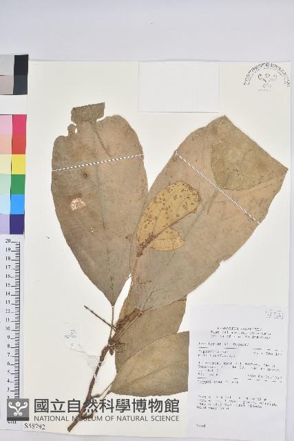 登錄號:S058792藏品圖，第1張