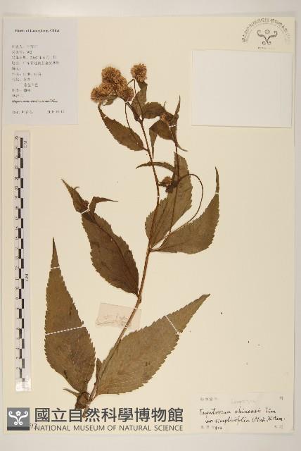 登錄號:S129392藏品圖，第1張