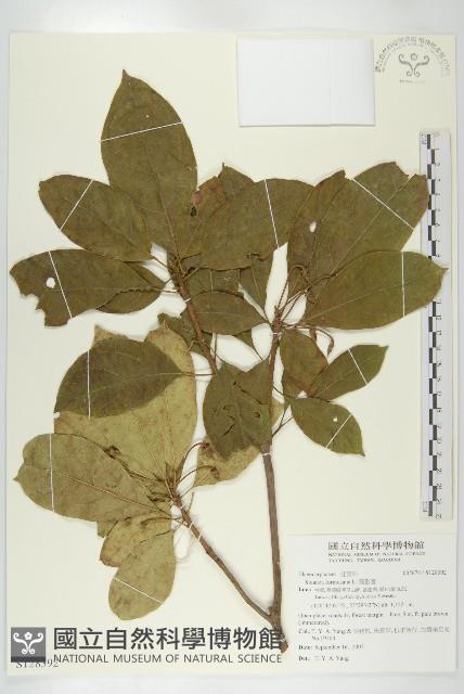 猴歡喜藏品圖，第1張