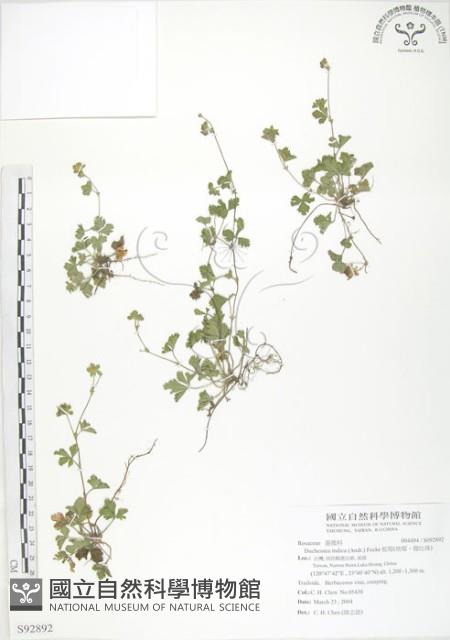 登錄號:S092892藏品圖，第1張