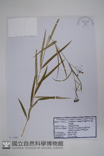 登錄號:S119992藏品圖，第1張