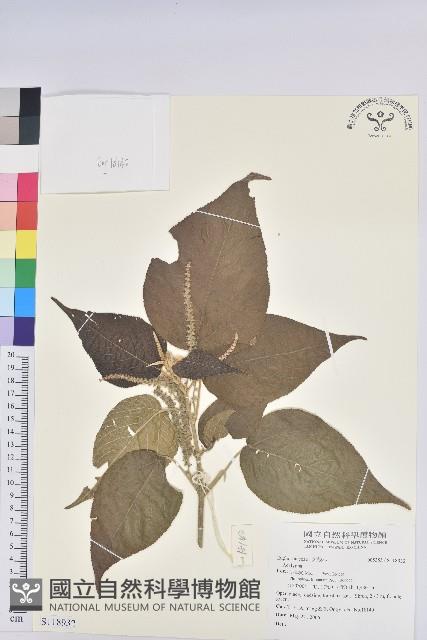 登錄號:S118932藏品圖，第1張