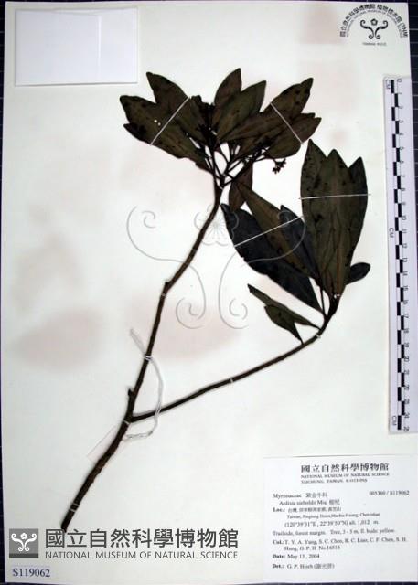 樹杞藏品圖，第1張