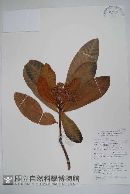 登錄號:S058762藏品圖，第1張