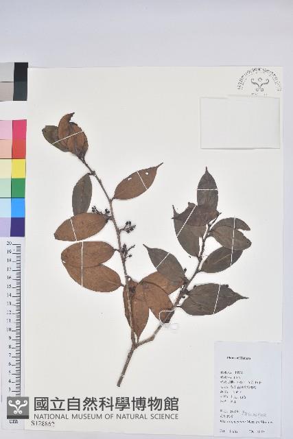 登錄號:S128862藏品圖，第1張