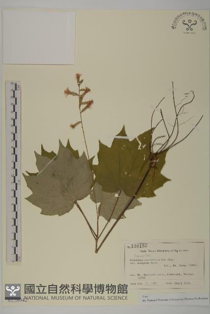 登錄號:S128042藏品圖，第1張