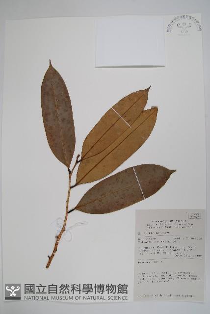 登錄號:S058772藏品圖，第1張