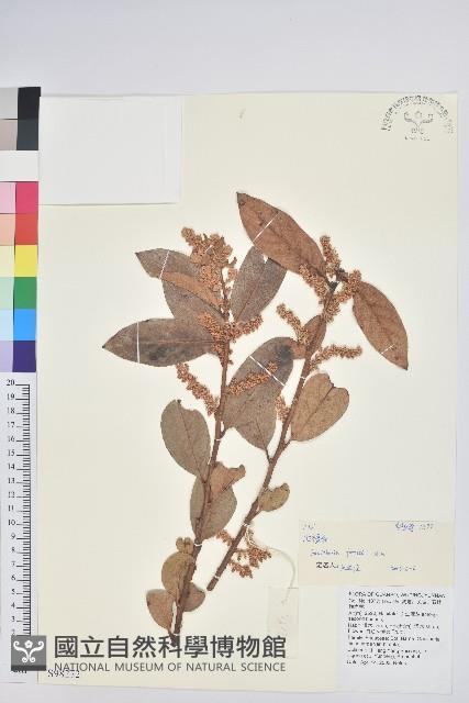 地檀香藏品圖，第1張