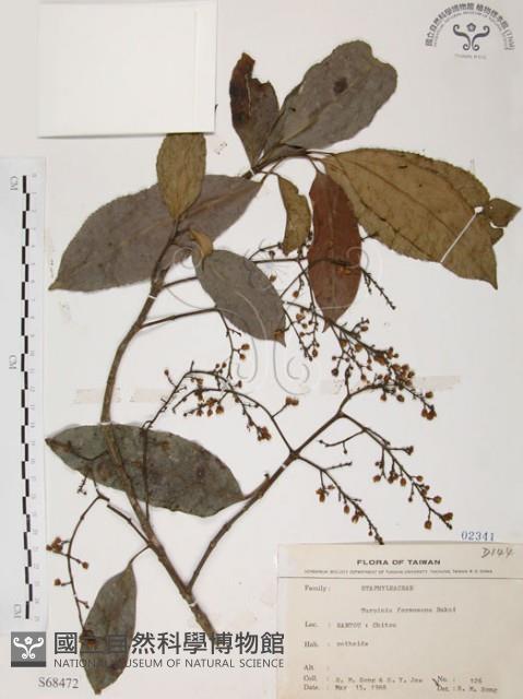 山香圓藏品圖，第1張