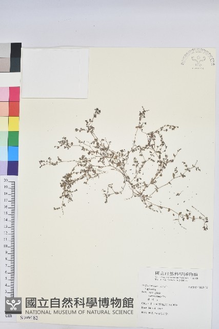 登錄號:S109182藏品圖，第1張