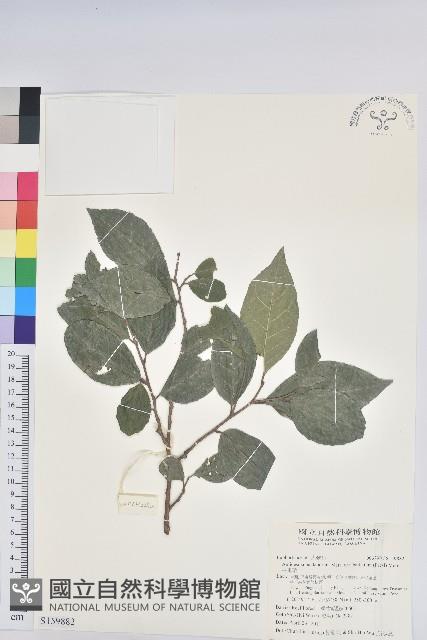 枯里珍藏品圖，第1張