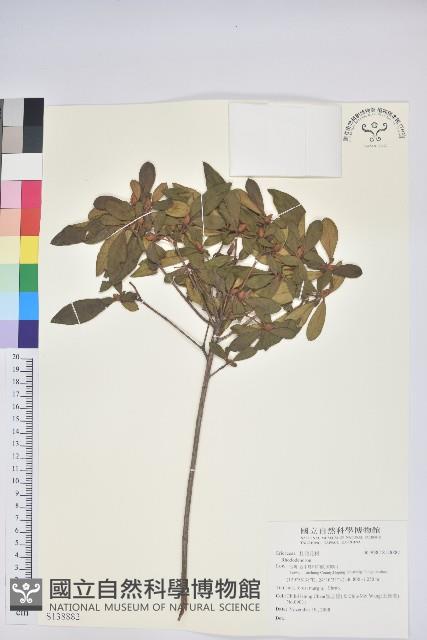 登錄號:S138882藏品圖，第1張