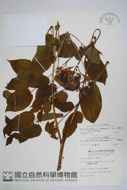 登錄號:S008120藏品圖，第1張