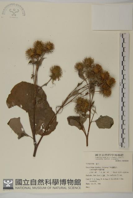 登錄號:S049600藏品圖，第1張