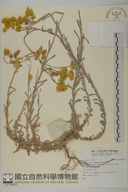 登錄號:S138000藏品圖，第1張