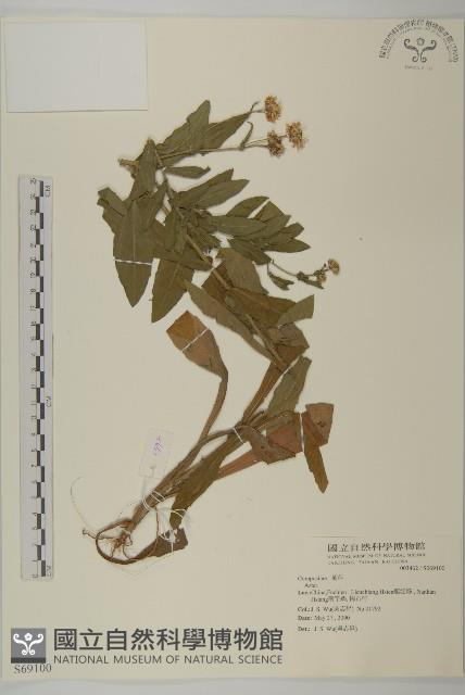 登錄號:S069100藏品圖，第1張