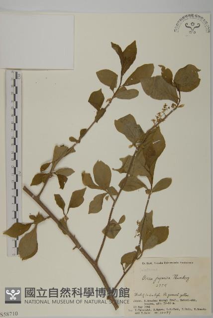 常山藏品圖，第1張