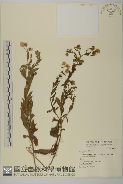 登錄號:S069910藏品圖，第1張