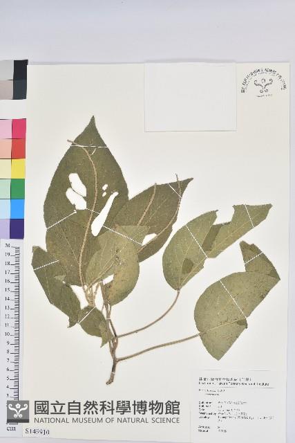 登錄號:S149910藏品圖，第1張