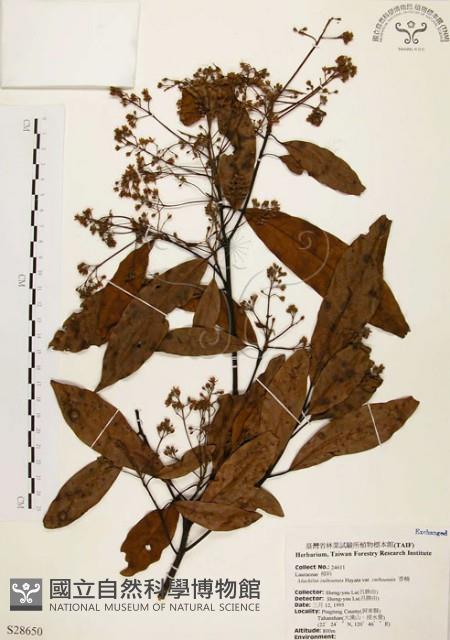 香楠藏品圖，第1張