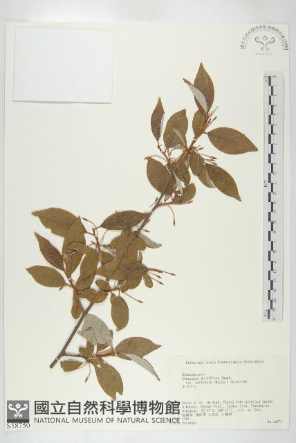 登錄號:S058750藏品圖，第1張