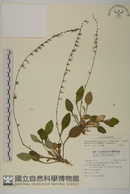 臺灣鬼督郵藏品圖，第1張