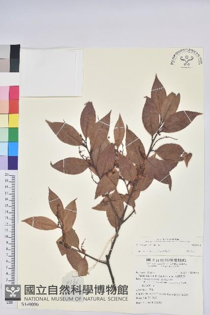 登錄號:S140090藏品圖，第1張