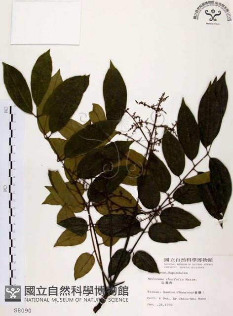 山豬肉藏品圖，第1張