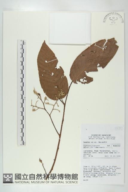 登錄號:S058790藏品圖，第1張