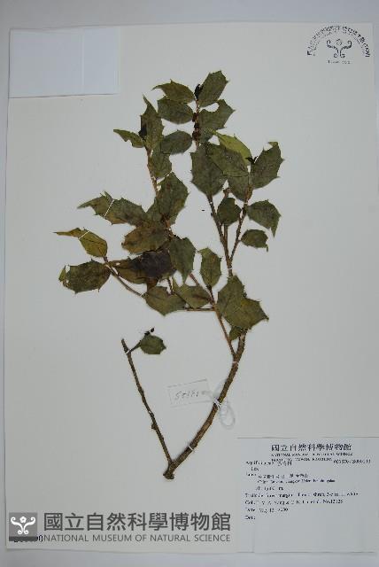 登錄號:S080190藏品圖，第1張