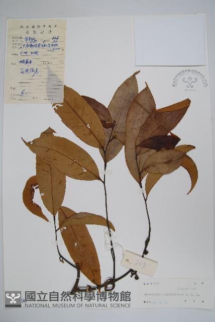 登錄號:S039190藏品圖，第1張