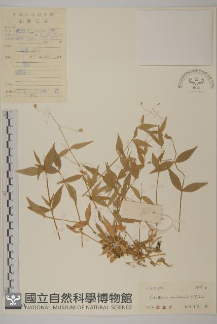 峨嵋繁縷藏品圖，第1張