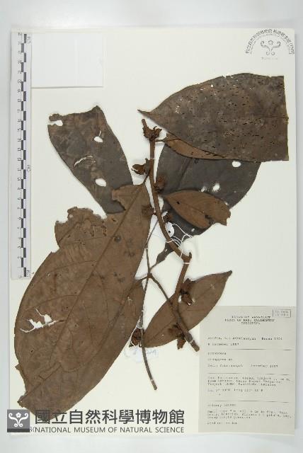 登錄號:S058830藏品圖，第1張