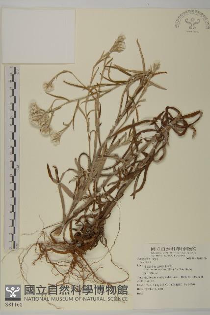 登錄號:S081160藏品圖，第1張