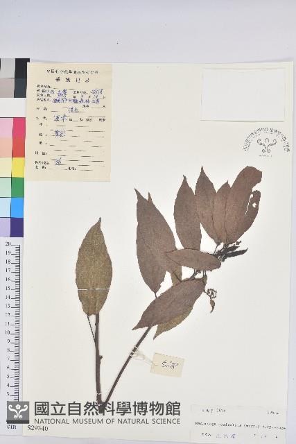 登錄號:S029340藏品圖，第1張