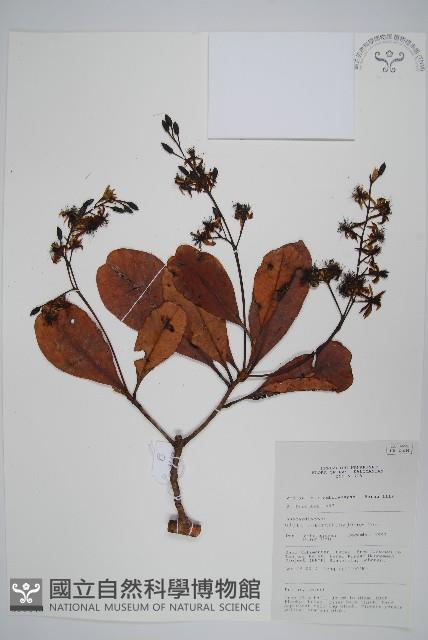 登錄號:S058840藏品圖，第1張