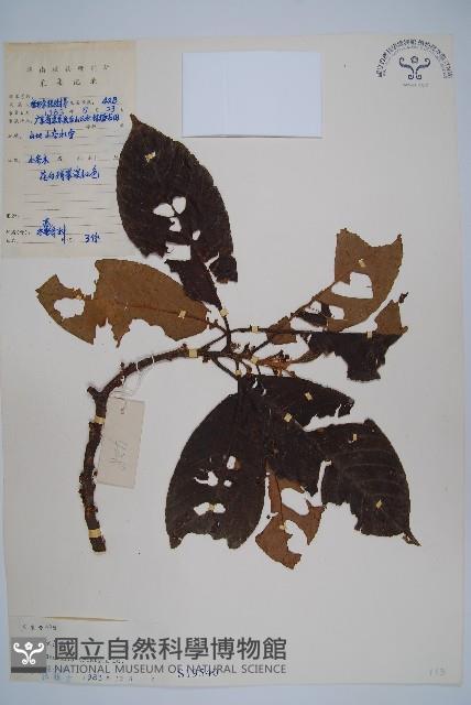 水東哥藏品圖，第1張